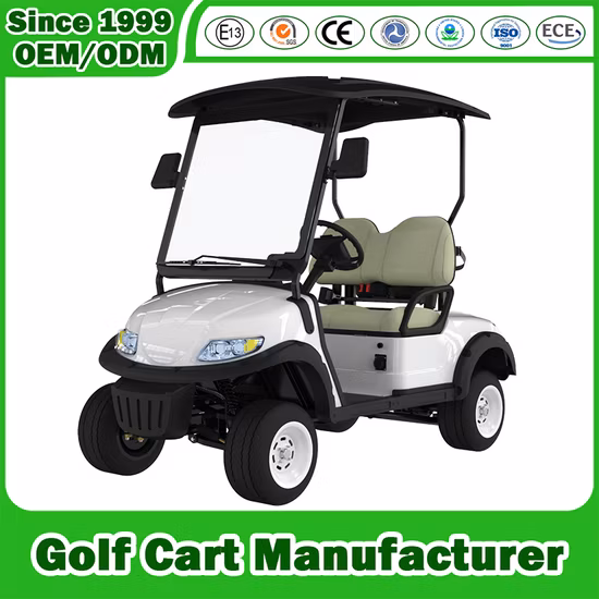 Chinese Mini Electric Car 2 Seats Passengers 4 Wheel Fast Charging Electric Golf Cart
